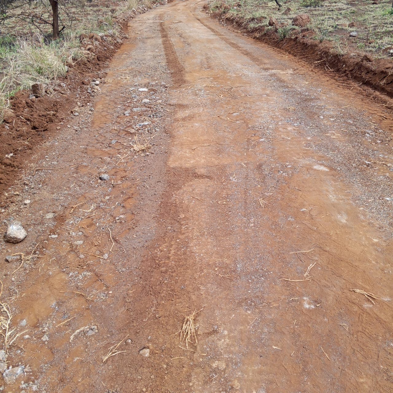 Rehabilitated road surface
